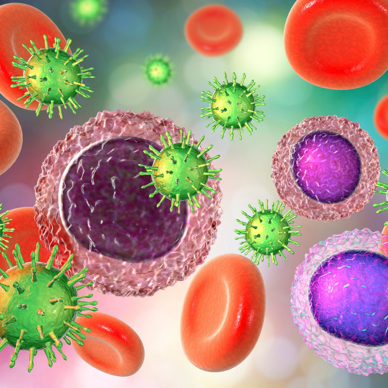 Immunity & Wellness