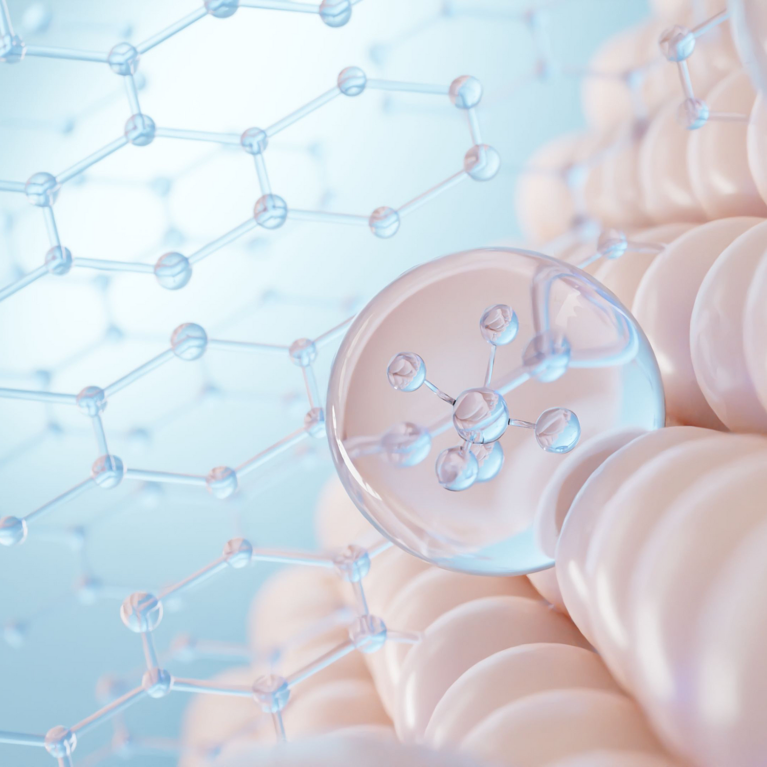 Collagen & Skin Vitality