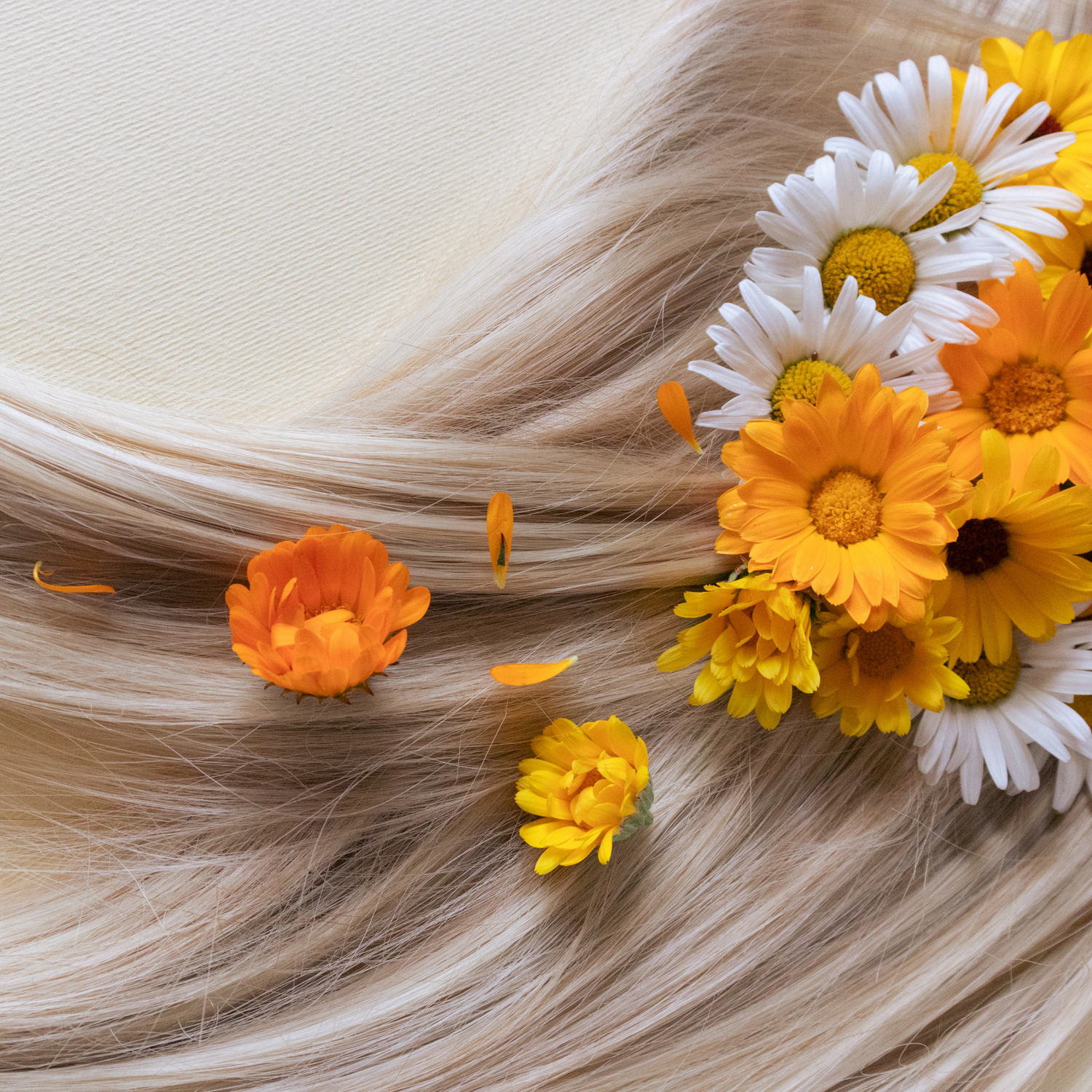 Hair Care