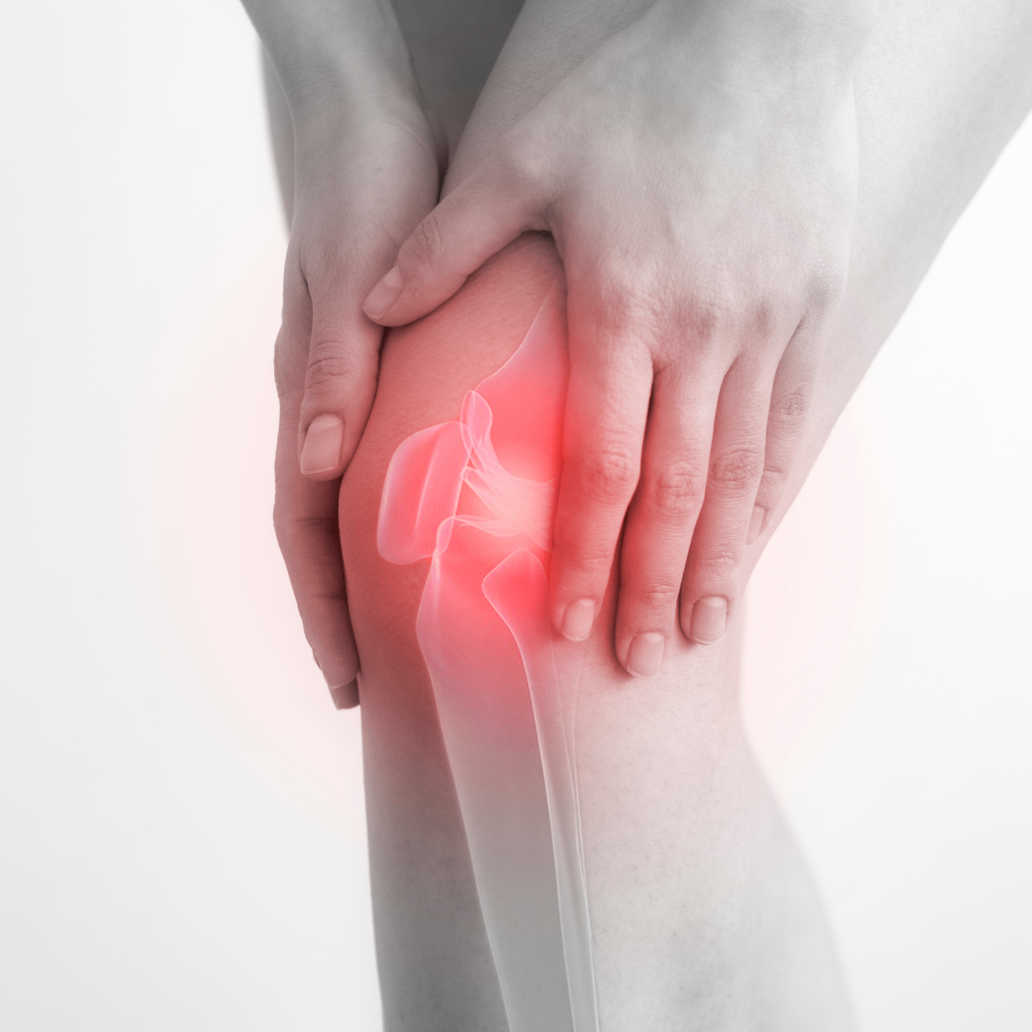 Joint & Muscular Support