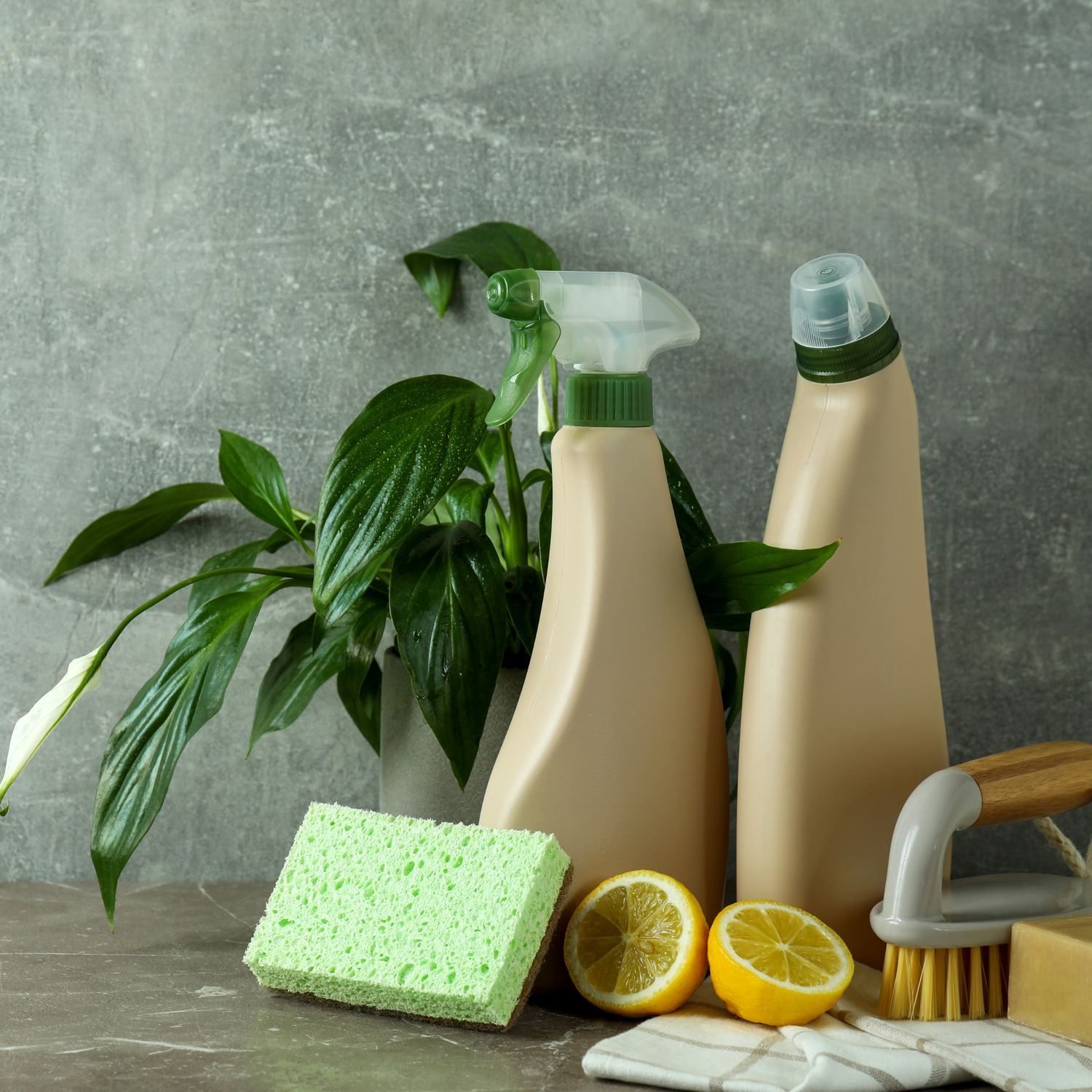 Probiotic Cleaning for a Healthier Home