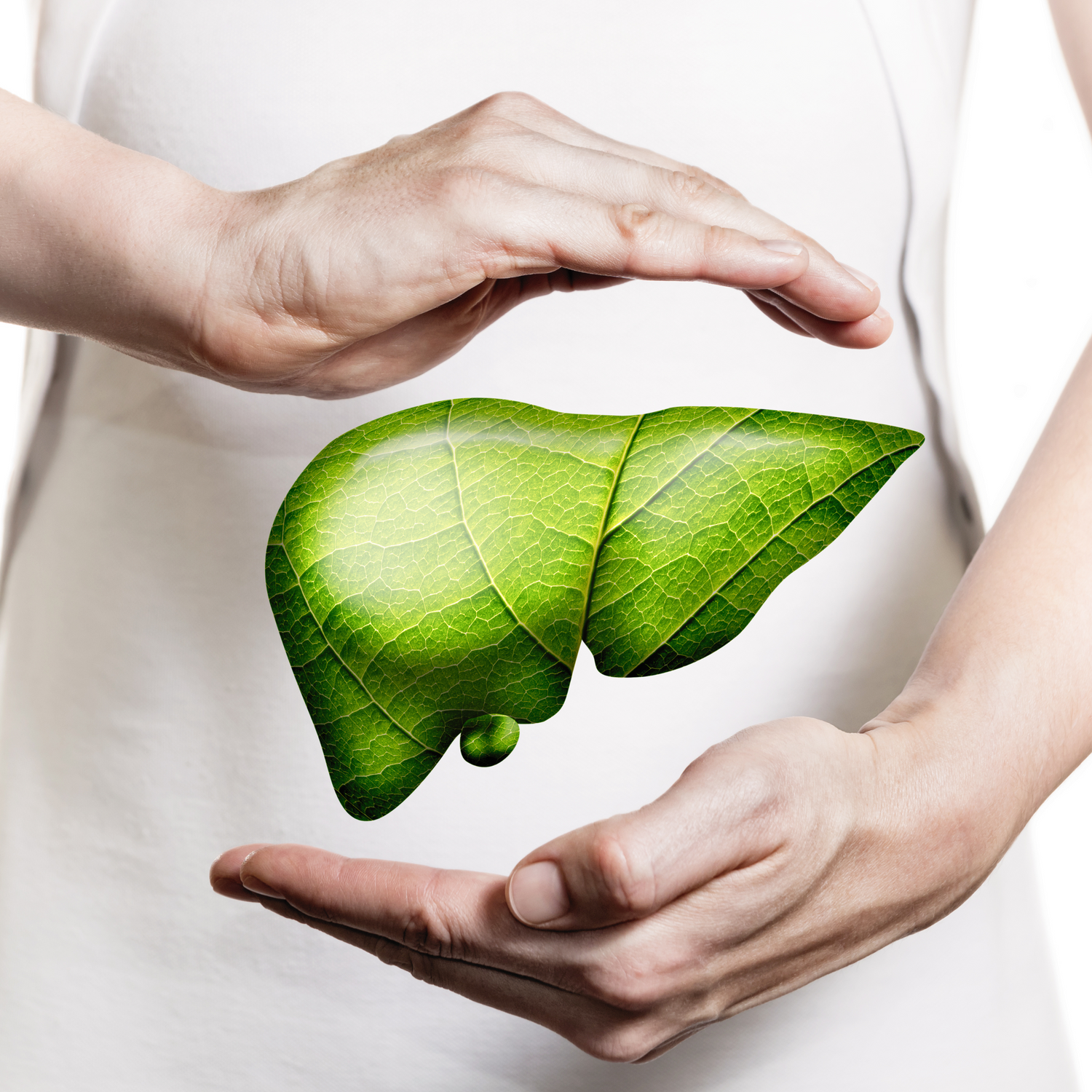 Liver & Detox Support