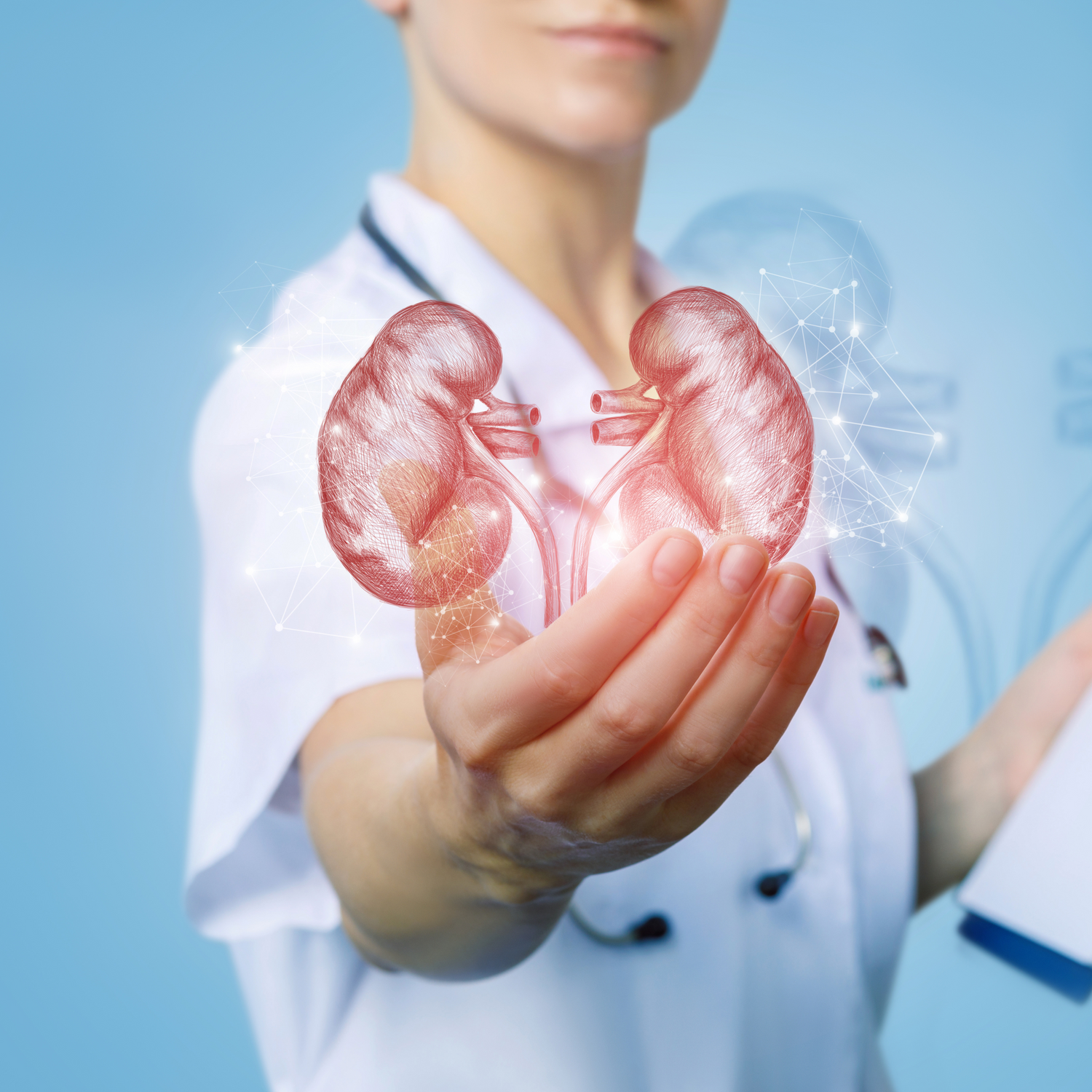 Urinary Tract & Kidney Support