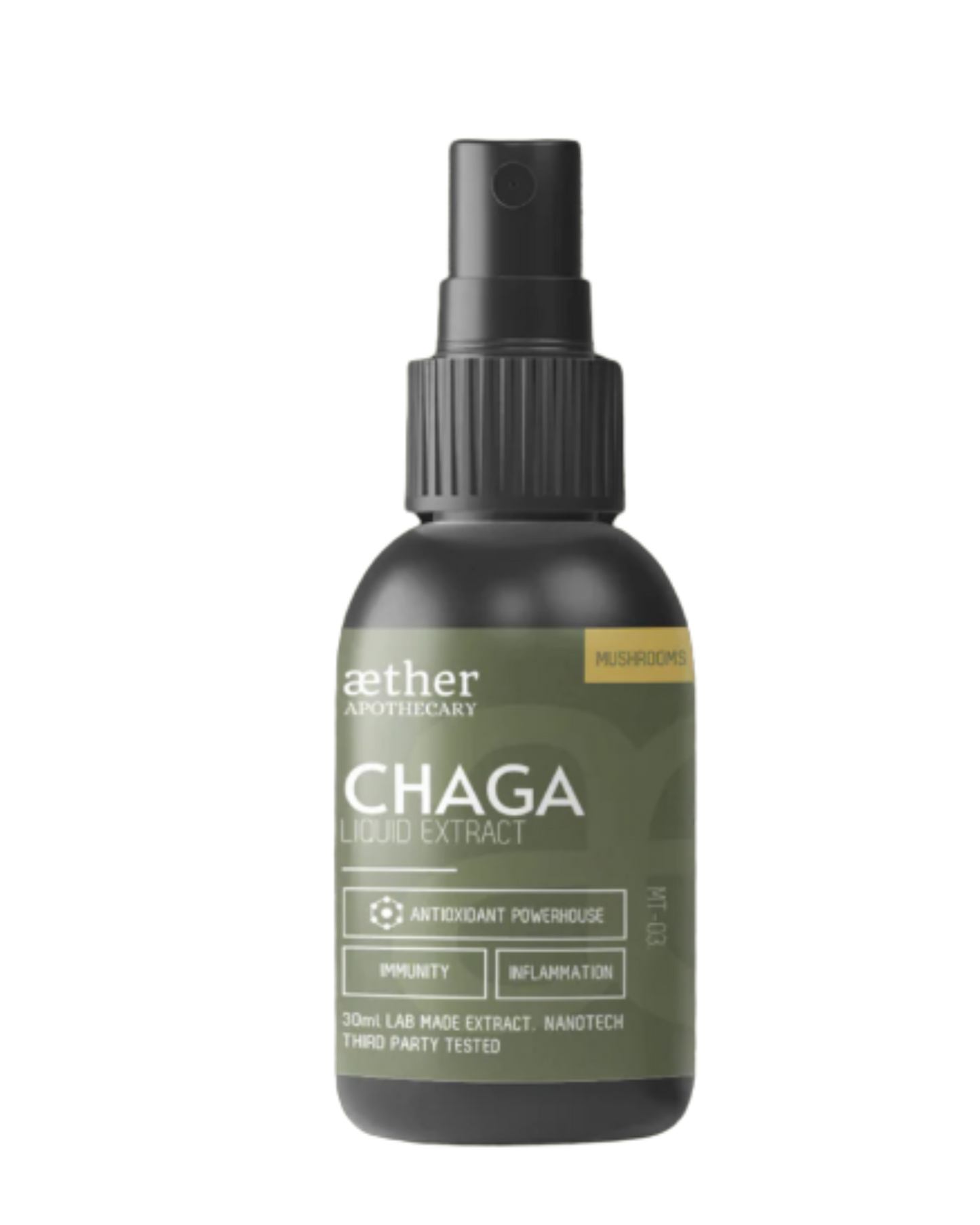 Chaga Extract