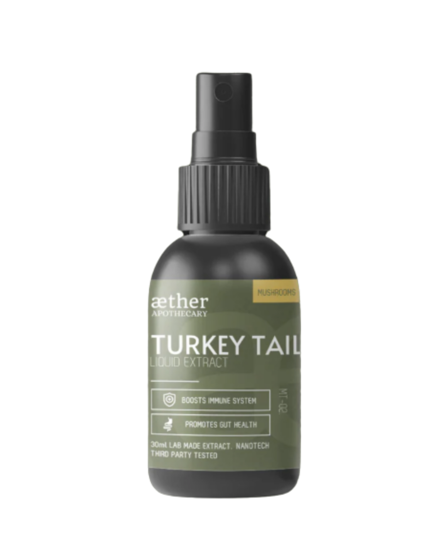 Turkey Tail Extract